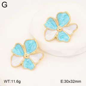 2E3004052aakl-434  Stainless Steel Earrings