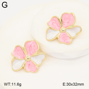 2E3004053aakl-434  Stainless Steel Earrings