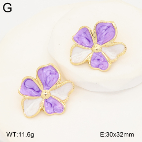 2E3004054aakl-434  Stainless Steel Earrings