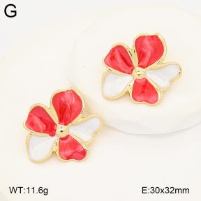 2E3004055aakl-434  Stainless Steel Earrings