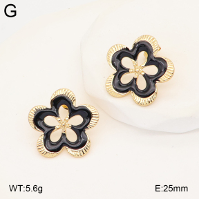 2E3004056baka-434  Stainless Steel Earrings