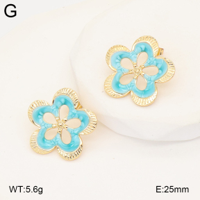 2E3004057baka-434  Stainless Steel Earrings