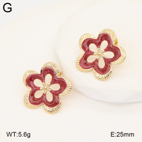2E3004058baka-434  Stainless Steel Earrings