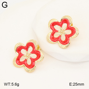 2E3004059baka-434  Stainless Steel Earrings