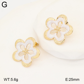 2E3004060baka-434  Stainless Steel Earrings