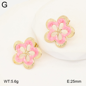 2E3004061baka-434  Stainless Steel Earrings