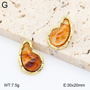 2E4005011ablb-434  Stainless Steel Earrings