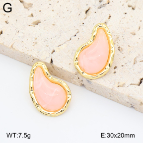 2E4005012ablb-434  Stainless Steel Earrings