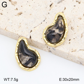 2E4005013ablb-434  Stainless Steel Earrings