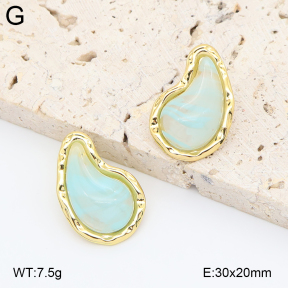 2E4005014ablb-434  Stainless Steel Earrings