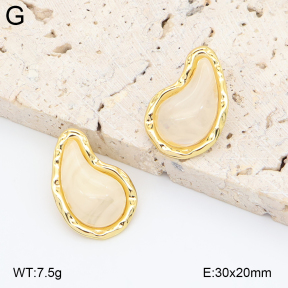 2E4005015ablb-434  Stainless Steel Earrings