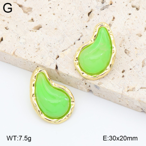 2E4005016ablb-434  Stainless Steel Earrings