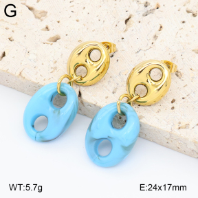 2E4005017vbnl-434  Stainless Steel Earrings