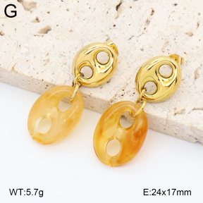 2E4005018vbnl-434  Stainless Steel Earrings