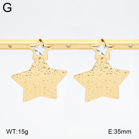 2E4005019vbll-434  Stainless Steel Earrings