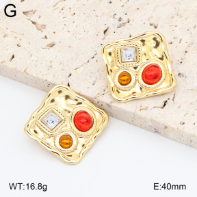 2E4005021ablb-434  Stainless Steel Earrings