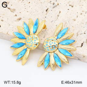 2E4005022vbpb-434  Stainless Steel Earrings
