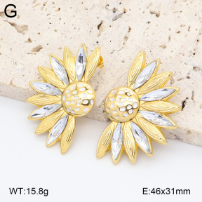 2E4005023vbpb-434  Stainless Steel Earrings