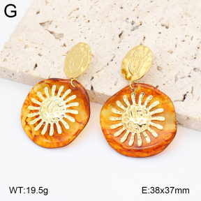 2E4005024bbml-434  Stainless Steel Earrings