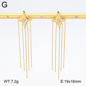 2E4005025vhhl-434  Stainless Steel Earrings