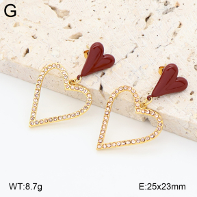 2E4005026bvpl-434  Stainless Steel Earrings