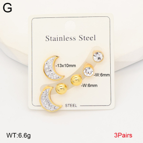 2E4005027aakl-434  Stainless Steel Earrings