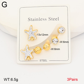2E4005028aakl-434  Stainless Steel Earrings