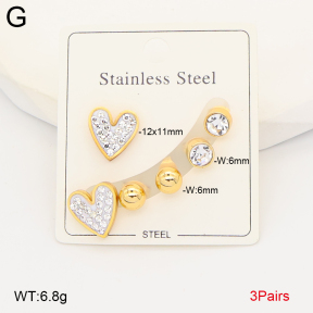 2E4005030aakl-434  Stainless Steel Earrings