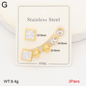 2E4005032aakl-434  Stainless Steel Earrings