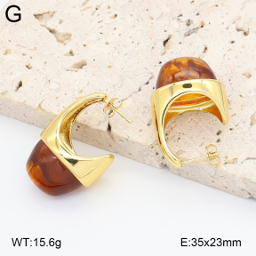 2E4005033vbnl-434  Stainless Steel Earrings