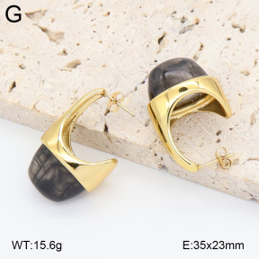 2E4005034vbnl-434  Stainless Steel Earrings