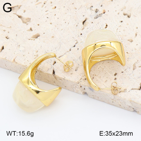 2E4005035vbnl-434  Stainless Steel Earrings
