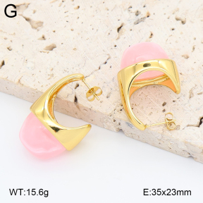 2E4005036vbnl-434  Stainless Steel Earrings