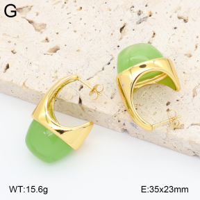 2E4005037vbnl-434  Stainless Steel Earrings