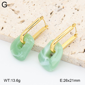 2E4005038vbnb-434  Stainless Steel Earrings