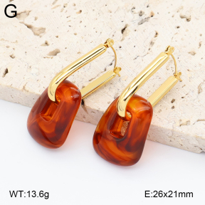 2E4005039vbnb-434  Stainless Steel Earrings