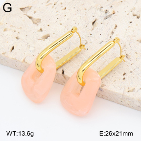 2E4005040vbnb-434  Stainless Steel Earrings