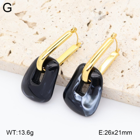 2E4005041vbnb-434  Stainless Steel Earrings