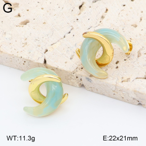 2E4005042vbnl-434  Stainless Steel Earrings