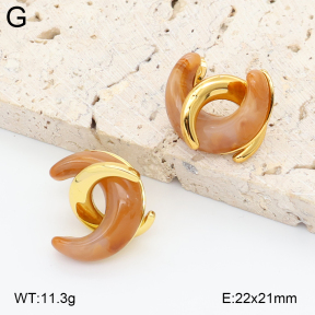 2E4005044vbnl-434  Stainless Steel Earrings