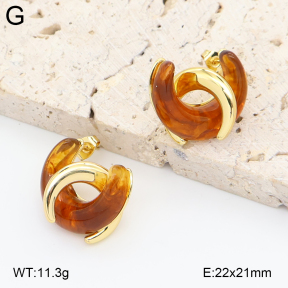 2E4005045vbnl-434  Stainless Steel Earrings