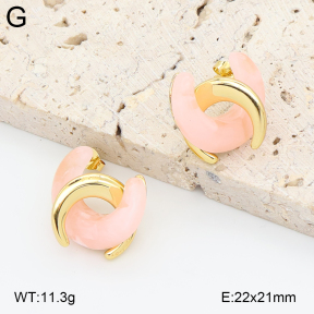2E4005046vbnl-434  Stainless Steel Earrings