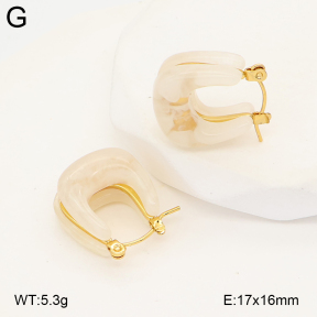 2E4005047vbnl-434  Stainless Steel Earrings