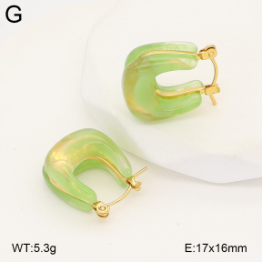 2E4005048vbnl-434  Stainless Steel Earrings