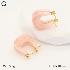 2E4005049vbnl-434  Stainless Steel Earrings
