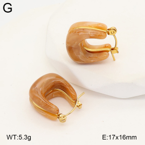 2E4005050vbnl-434  Stainless Steel Earrings