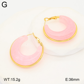2E4005051ablb-434  Stainless Steel Earrings