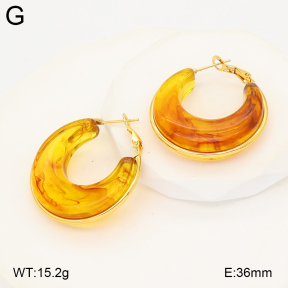 2E4005052ablb-434  Stainless Steel Earrings
