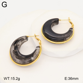 2E4005053ablb-434  Stainless Steel Earrings