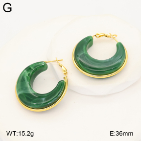 2E4005054ablb-434  Stainless Steel Earrings